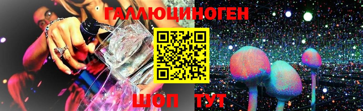 Новороссийск  Галлюциногенные грибы прущие грибы  Вход с VPN  где продают   Галлюциногенные грибы ЛСД 