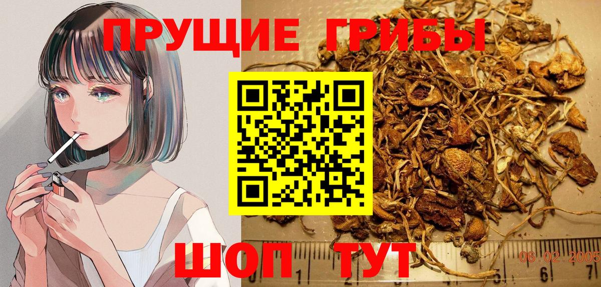 Псилоцибиновые грибы GOLDEN TEACHER Новороссийск